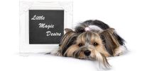 Little Magic Desire