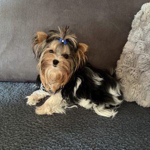 Minnie
